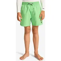 Billabong All Day Lb Swimming Shorts Vert 14 Years Garçon