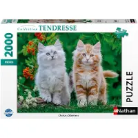 Nathan - Puzzle de 2000 pièces - Chatons sibériens - 14 ans et plus - Puzzle de qualité supérieure - Collection Tenderness - 12001868