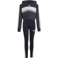 Adidas Survêtement gris foncé / noir / blanc