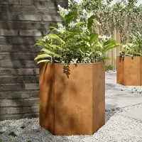 Prolenta Maison Exclusive - 2 jardinières hexagonales, 46x40x45 cm, en acier résistant aux intempéries