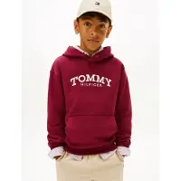 Tommy Hilfiger Sweatshirts à capuche MONOTYPE PRINT HOODIE garcons - Bordeaux - 12 ans