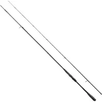 Shimano Exsence Infinity, 2,9 m, 9,51 ft, 6-40 g, 2 brins, canne à pêche au lancer, 22EXCINFS96M