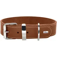 Hunter Collier Aalborg Special (Chien, Promenade)