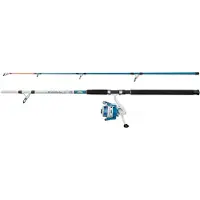 Mitchell Neuron Sw Ii Light Boat Cmb 5000 Spinning Combo Argenté 2.10 m / 80-150 g