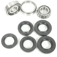 All Balls 25-1523 Wheel Bearing Kit Argenté
