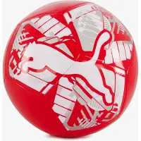 Puma Ballon De Football Big Cat