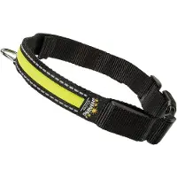 Ferplast Collier Large Night