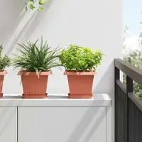 Prolenta Maison Exclusive - Lot de 24 pots de fleurs rouge brique, 20 x 20 x 16 cm, en plastique