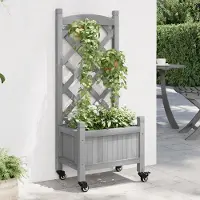 Prolenta Maison Exclusive - Bac à plantes avec treillis et roulettes, gris, en sapin massif