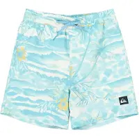 Quiksilver Everyday Printed Volley 14´´ Swimming Shorts Bleu 16 Years Garçon