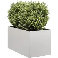 Prolenta Maison Exclusive - Jardinière 40 x 80 x 40 cm en acier inoxydable