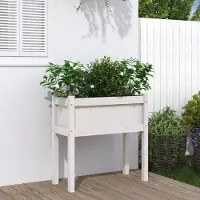 Prolenta Maison Exclusive - Bac à plantes sur pieds, blanc, 70 x 31 x 70 cm, en pin massif