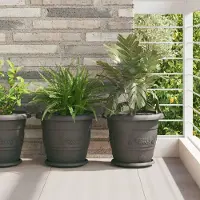 Prolenta Maison Exclusive - Jardinières, lot de 6, noir, diamètre 30 cm, hauteur 25 cm, plastique