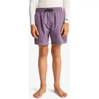 Billabong All Day Lb Swimming Shorts Violet 14 Years Garçon