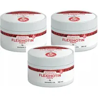 PLT Group 3x Flexihotin Forte - soutien des muscles et des articulations Échauffement