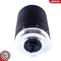 ESEN SKV Suspension pneumatique , châssis x