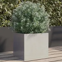 Prolenta Maison Exclusive - Bac à plantes Silbern 32 x 30 x 29 cm en acier inoxydable