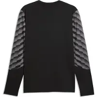 Puma Unisexe, T-shirt de sport, teamLIGA26 GK Jersey LS (M), Noir, Blanc, Gris, M