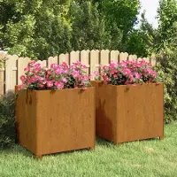 Prolenta Maison Exclusive - Jardinières sur pieds, lot de 2. Aspect rouille. Dimensions : 50x50x50 cm. Acier corten