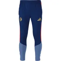 Adidas Fc Bayern Munich 26/27 Training Tracksuit Pants Bleu L / Regular Homme