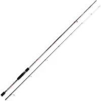 Kali Egi +250 Eging Rod Argenté 2.50 m / 2-3.5 EGI