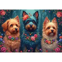 Bluebird Puzzle Chiens Puzzle - 1000 pièces