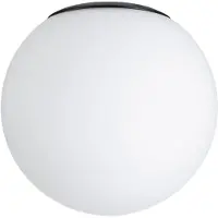 Paulmann Sélection : plafonnier de salle de bains Gove, verre de rechange noir mat/satiné, 12 cm