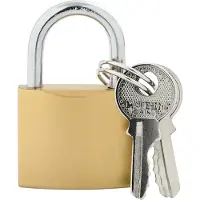 vidaXL Cadenas en U avec clés 6 pièces Laiton Fer