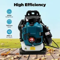 StarTech.com Souffleur à feuilles à dos - Essence 4 temps - 75,6 cm³, 2,6 kW, 7 000 tr/min - Réservoir 1,9 l - Longueur du tuyau 168 cm - Bleu