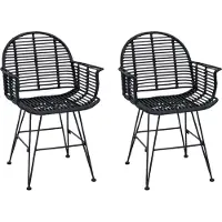 vidaXL - 2 chaises de salle à manger, rotin et métal, noir, 57 x 55 x 85 cm