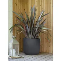 Eda Pot Rond Basalt'up - 32,5 L - Gris Anthracite Plastiques