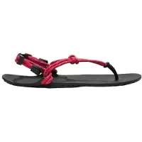 Xero Shoes Genesis Sandals Pink EU 37 1/2 Femmes Pink EU 37 1/2