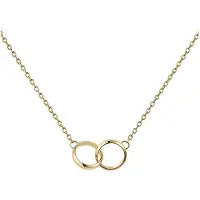 Daniel Wellington Magnifique Collier Plaqué Or Elan Unity Dw00400219