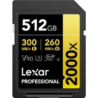 Lexar Pro Gold Memory Card Noir