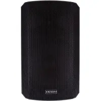 Definitive Audio Panda 15A BT