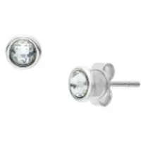 Skagen SKJ1893040 Boucles, (Acier inoxydable)
