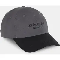 Dickies Hommes, Casquette, Twill Dad Hat, Gris