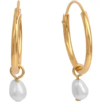 Zeeme Boucles d'oreilles or / blanc
