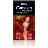 DELIA Cameleo Wild Plum Shampooing colorant 40ml 66.56