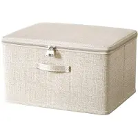 OEM Boîte de rangement avec serrure et couvercle, boîte anti-poussière, boîte de rangement pour vêtements (38 x 25,5 x 16 cm)