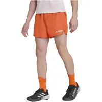 Adidas Short Terrex