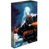 Pyramid Harry Potter tableau toile Poudlard Express 30 x 40cm (30 x 40 cm)