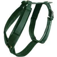 Kentucky Active Velvet Dog Harness Vert 48-70 cm