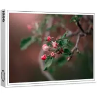 Raxxa Puzzle haut de gamme « Branche fleurie », 1 000 pièces