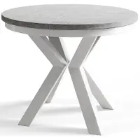 Alpi Möbel AlpiMeble Table de salle à manger ronde LOFT - Table extensible - Diamètre : 100 cm/180 cm - Table de salon - Couleur : gris - Avec pieds en métal de couleur blanche