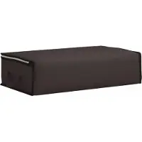 vidaXL Boîte de rangement avec fenêtre latérale transparente, anthracite