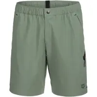 Arena Shorts de bain 'EVO WALKING BERMUDA' vert