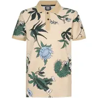 Petrol Industries T-Shirt bleu clair / cappuccino / vert foncé / blanc