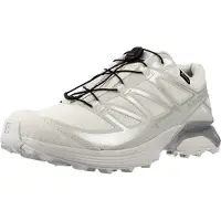 Salomon Xt Pathway Gtx Couleur Gris