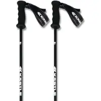 Kästle Legendary Ca Poles Argenté 130 cm